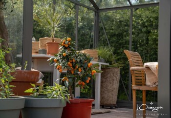 Orangerie Tuinkas vrijstaand 4 x 4 meter lichtgrijs om te ontspannen